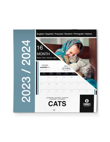 Calendario de Pared - 16 Meses Ilustraciones de gatos Organiza tu año con un estilo muy felino y divertido  8436548139209